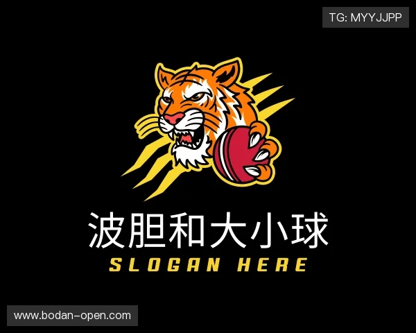 介绍比分预测
